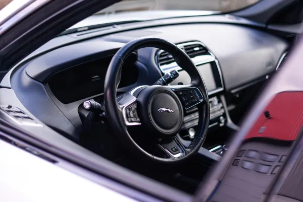 펠라 카지노 안드로이드/iOS 앱